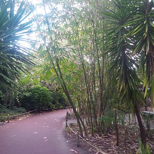 Caversham Wildlife Park WA