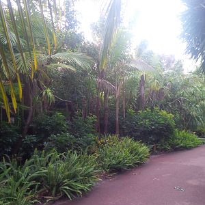 Caversham Wildlife Park WA