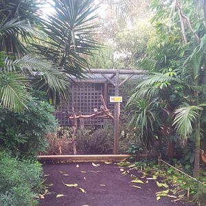 Caversham Wildlife Park WA