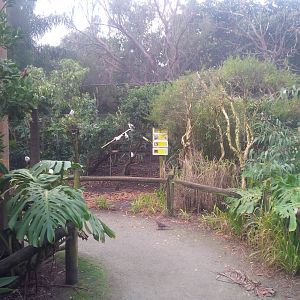 Caversham Wildlife Park WA