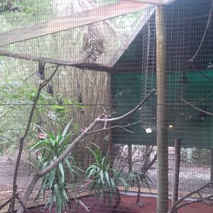 Caversham Wildlife Park WA