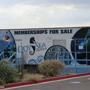 Butterfly Wonderland (Arizona) - Future Aquarium (2016)