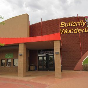 Butterfly Wonderland (Arizona) - Largest Indoor Butterfly Pavilion in the U