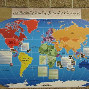Butterfly Wonderland (Arizona) - Largest Indoor Butterfly Pavilion in the U