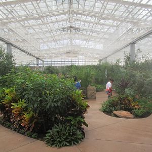 Butterfly Wonderland (Arizona) - Largest Indoor Butterfly Pavilion in the U