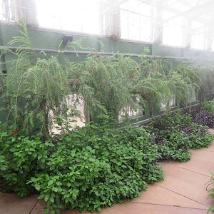 Butterfly Wonderland (Arizona) - Largest Indoor Butterfly Pavilion in the U