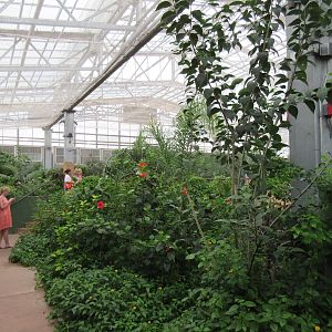 Butterfly Wonderland (Arizona) - Largest Indoor Butterfly Pavilion in the U