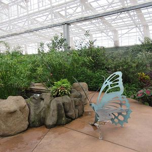Butterfly Wonderland (Arizona) - Largest Indoor Butterfly Pavilion in the U