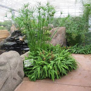 Butterfly Wonderland (Arizona) - Largest Indoor Butterfly Pavilion in the U
