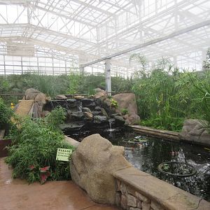 Butterfly Wonderland (Arizona) - Largest Indoor Butterfly Pavilion in the U