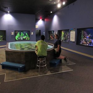 Butterfly Wonderland (Arizona) - Freshwater Tanks