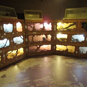 Superstition Serpentarium (Arizona) - Reptile Zoo