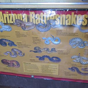 Superstition Serpentarium (Arizona) - Reptile Zoo (cool poster)