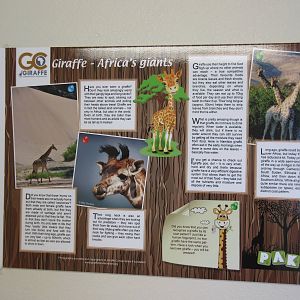 Lion Habitat Ranch (Nevada) - Giraffe Sign