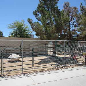 Lion Habitat Ranch (Nevada) - Emu Exhibit