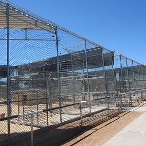 Lion Habitat Ranch (Nevada) - Lion Exhibits