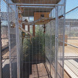 Lion Habitat Ranch (Nevada) - Blue and Gold Macaw Exhibit