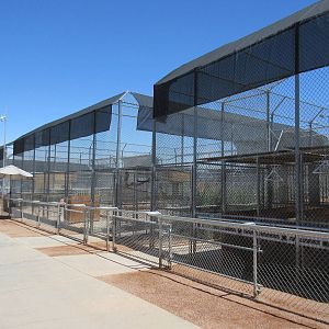 Lion Habitat Ranch (Nevada) - Lion Exhibits