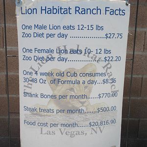 Lion Habitat Ranch (Nevada) - Facts Sign