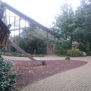 Lorikeet free-flight house