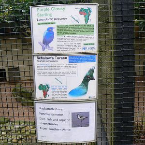 Example of New 'Temporary' Signage - 19 February 2016