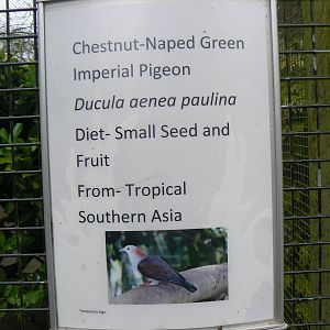 Sign for some New Arrivals - 19 February 2016