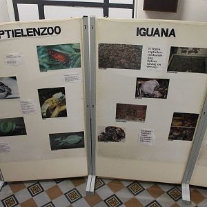 Information boards about Iguana