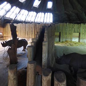Kitani and Magadi in the Tsavo House