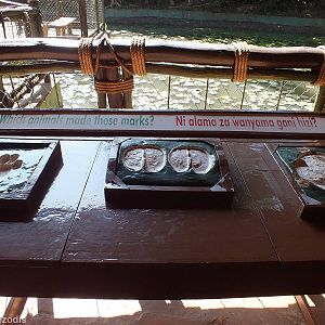 Display - Nairobi Safari Walk