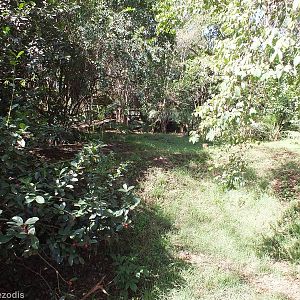 Part of the Waterfowl Enclosure - Nairobi Safari Walk