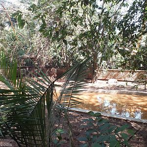 Part of the Pygmy Hippo Enclosure - Nairobi Safari Walk
