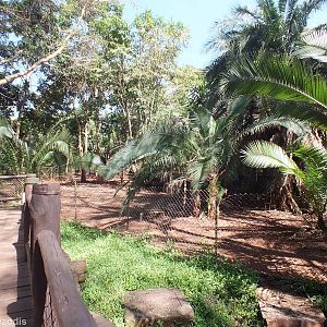 Part of the Pygmy Hippo Enclosure - Nairobi Safari Walk