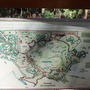 Map - Nairobi Safari Walk