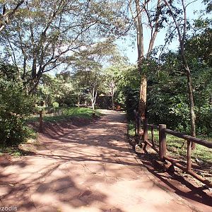 View of Pathway - Nairobi Safari Walk