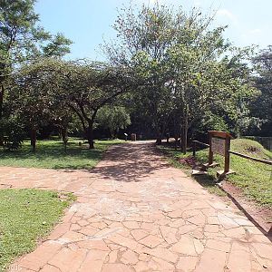 Pathway - Nairobi Safari Walk