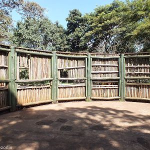 Rhino Viewing - Nairobi Safari Walk