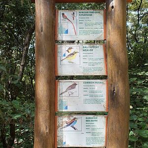 Sign Showing Wild Birds that can be Spotted - Nairobi Safari Walk
