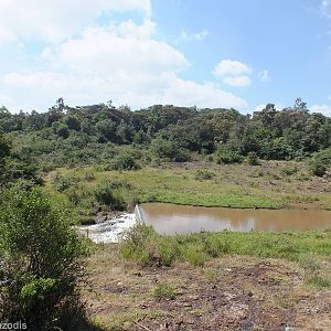 View of Nairobi National Park- Nairobi Safari Walk
