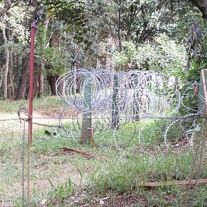 Rhino Security - Nairobi Safari Walk
