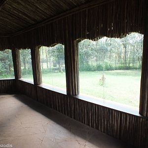 Lion Viewing Area - Nairobi Safari Walk