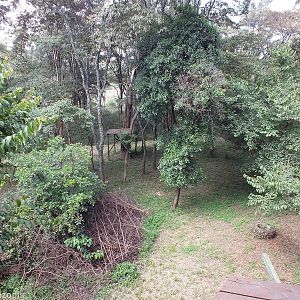 Leopard Enclosure - Nairobi Safari Walk