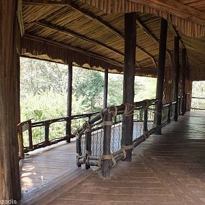 Raised Viewing into the Leopard Enclosure - Nairobi Safari Walk