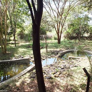 Nile Crocodile Enclosure - Nairobi Safari Walk
