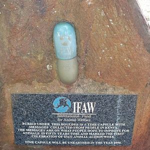 Interesting Display - Nairobi Safari Walk