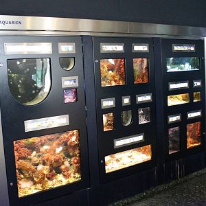 Enclosures for small sea-creatures