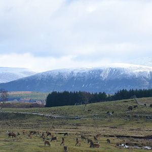 Main Reserve View at Highland WP, 10/02/16