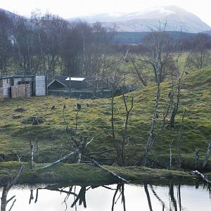 Macaque Enclosure at Highland WP, 10/02/16