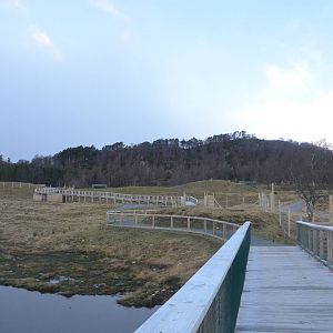 Walkway at Highland WP, 10/02/16