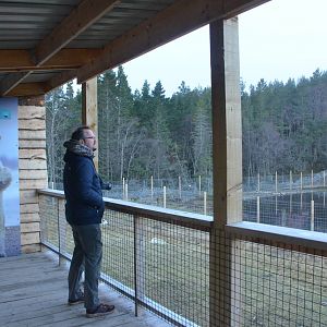 Polar Bear Viewing at Highland WP, 10/02/16