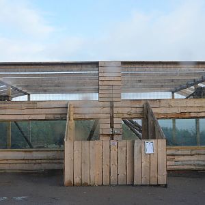 Snow Leopard Holding Area at Highland WP, 10/02/16